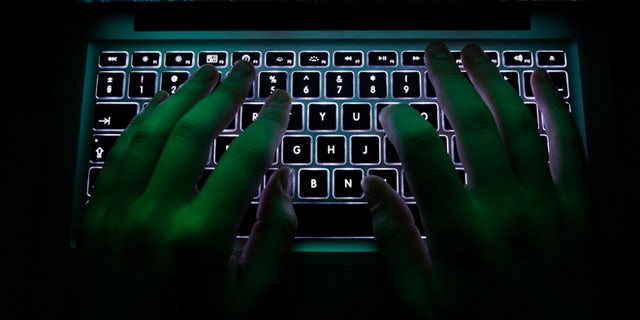 A man types on a computer keyboard in this illustration file picture. (Reuters)