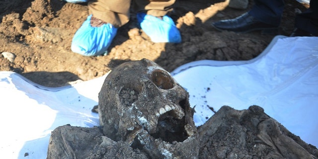 This photo shows a skeleton exhumed from a mass grave containing Yazidis killed by ISIS militants in the Sinjar region of northern Iraq.