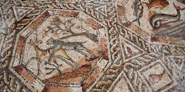 A partial view of a 1,700-year-old Roman-era mosaic floor in Lod, Israel, Monday, Nov. 16, 2015. (AP Photo/Ariel Schalit)