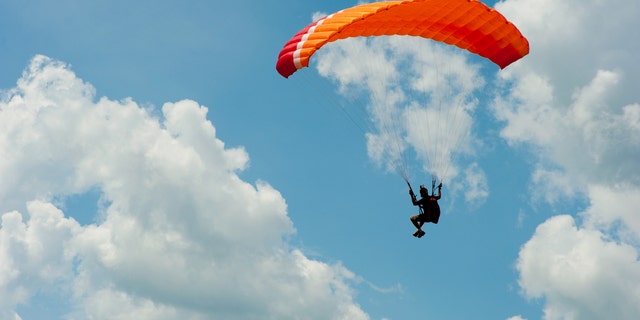 Paraglider smashes into cow while trying to take flight.