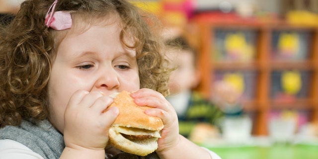 The report found that two billion of the world's seven billion people are now overweight or obese.