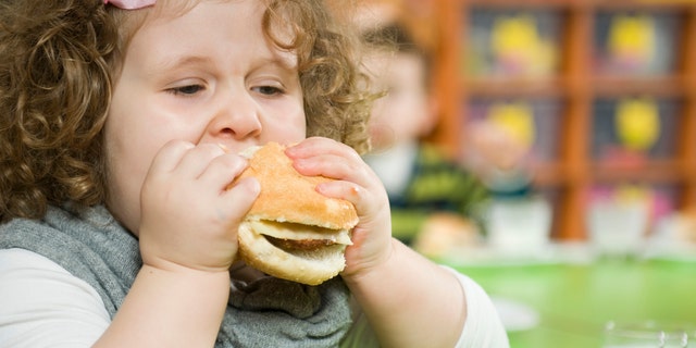 The report found that two billion of the world's seven billion people are now overweight or obese.
