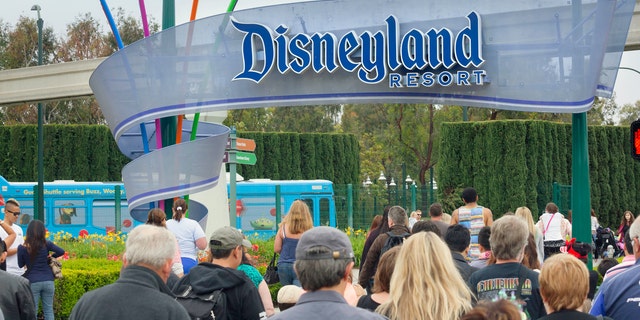 b2353caa-Disneyland iStock