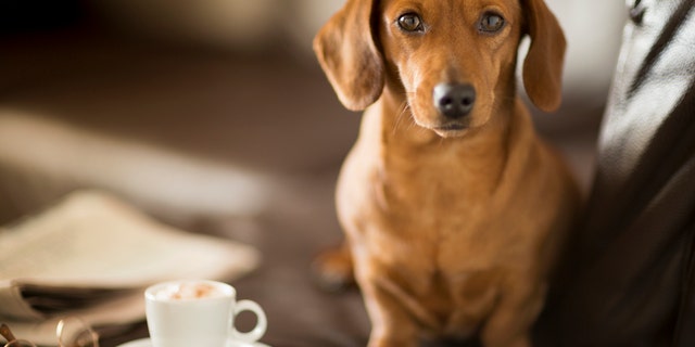 (Credit: iStock)