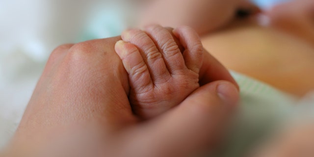 Newborn baby little hand hold by adult man hand of his father