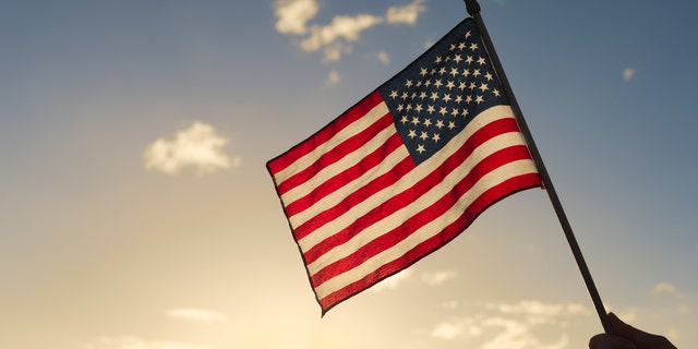 Person holding american flag.