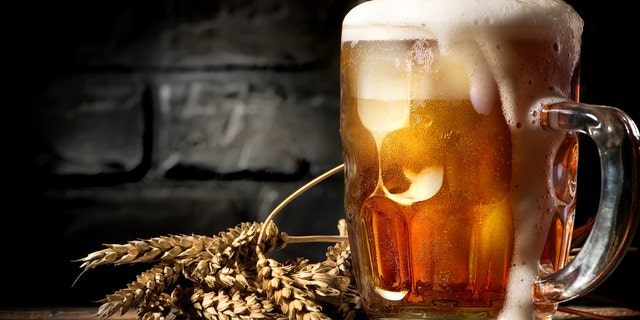 Light beer and wheat near brick wall