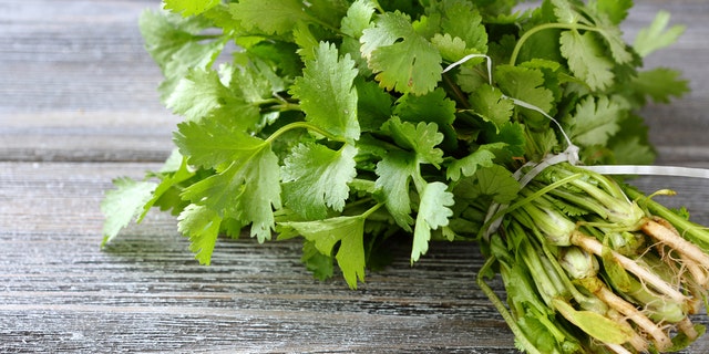 This recipe calls for chopped cilantro to be folded into the mixture that will be stuffed into the peppers.