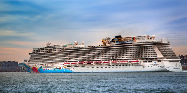Ilija Loncar was employed as a waiter onboard the Norwegian Breakaway when he developed flu-like symptoms including nausea.
