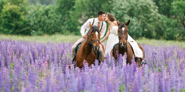 The bride's horse took over the photo shoot with an ear-to-ear grin that has won Facebook over.