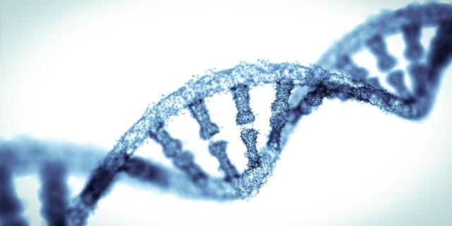 blue double helix models on background