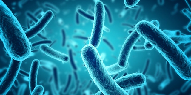 There were 94,530 human cases of salmonellosis reported in the EU in 2016.