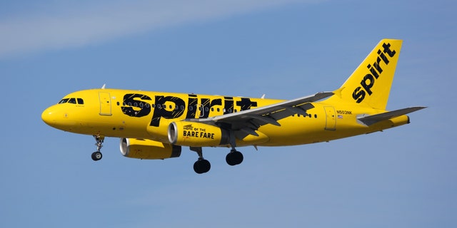 The stowaway mammal was discovered about 30 minutes into a flight from Charlotte, N.C., to Newark, N.J.