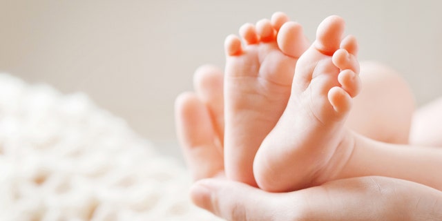 Baby feet in mother hands. Tiny Newborn Baby's feet on female Shaped hands closeup. Mom and her Child. Happy Family concept. Beautiful conceptual image of Maternity