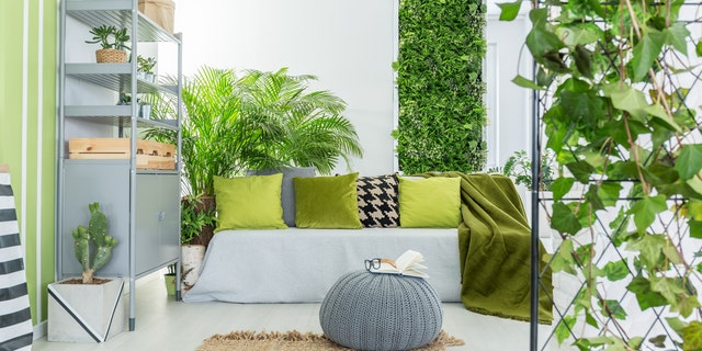 Give your home a wall of succulent boxes, framed moss or contemporary plant stands to usher in spring.