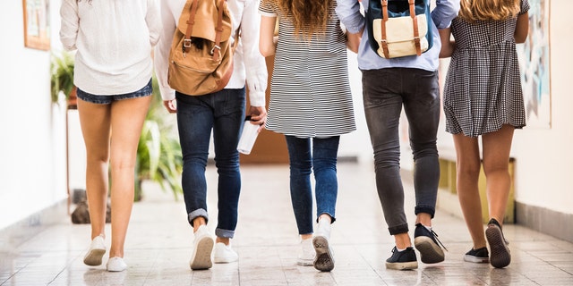 Group attractive teenage students in high school hall. Rear view.