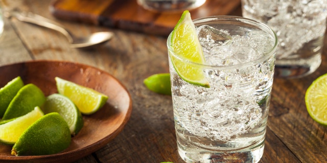 Alcoholic Gin and Tonic with a Lime Garnish