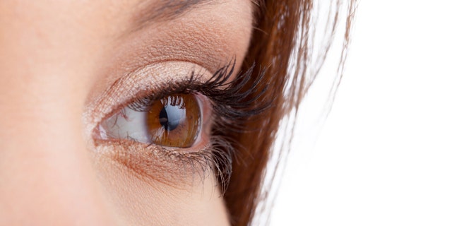 Close up of natural female eye isolated on white background