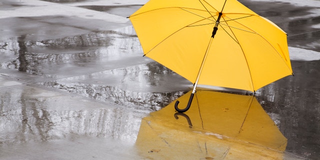 specia toned, focus point on yellow object