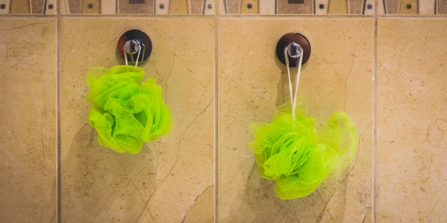 Two green bath sponges hanging from the bathroom wall. Bath accessories hanging from bathroom tiles.