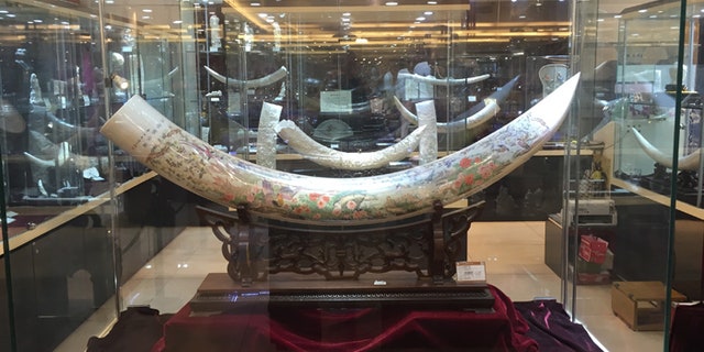 Ivory from elephant tusks and rhino horns are in great demand in China. (Elephant Action League)
