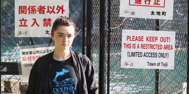 In this photo released by DolphinProject, Maisie Williams stands in front of a fence with notice boards beside the beach known for dolphin hunting in Taiji, Wakayama prefecture, central Japan, Friday, Dec. 2, 2016.