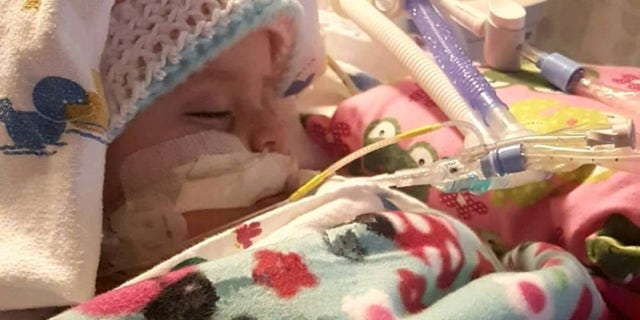 Jasmine LaFountain died after her mother reported her not breathing in November 2017.