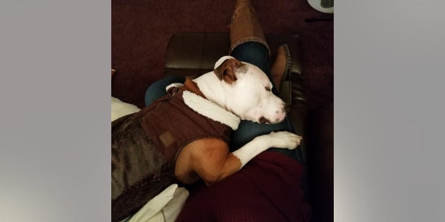 jax sleeping