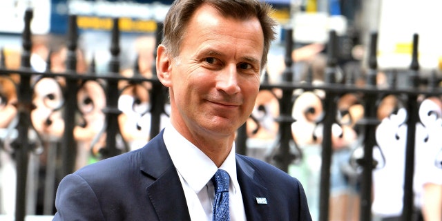 New British Foreign Secretary Jeremy Hunt supported the 'Remain' side of the 2016 UK referendum to leave the European Union.