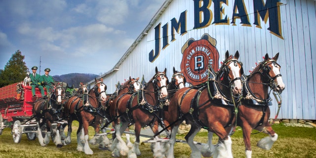 Why have to chose between bourbon and beer when you can get the flavors of both with Budweiser's new brew in partnership with Jim Beam.