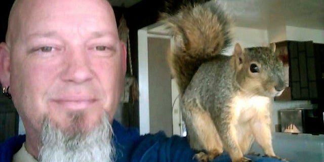 Joey, the squirrel, was found by Adam Pearl of Meridian, Idaho, late last summer. Joey has returned to the wild earlier this month, Pearl said.