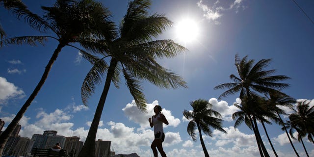 A woman jogs along a path in Ala Moana Park in Honolulu, Hawaii. REUTERS/Jim Young