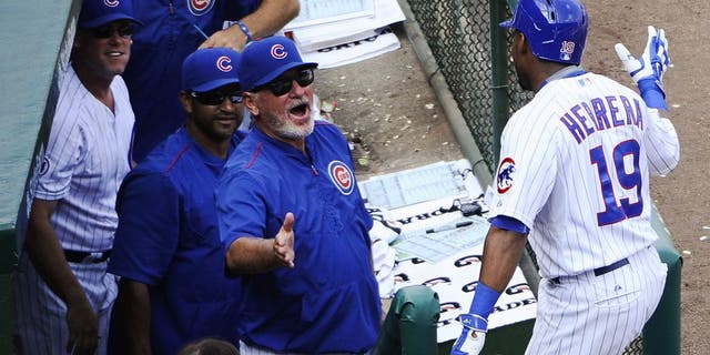 Chicago Cubs manager Joe Maddon, center, celebrates with Jonathan Herrera (19) after he hit a home run against the Arizona Diamondbacks in the sixth inning of a baseball game on Sunday, Sept. 6, 2015, in Chicago. (AP Photo/Matt Marton)
