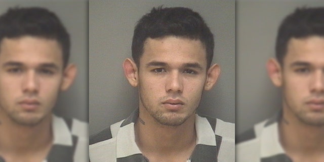 MS-13 gang member Jose Luis Escobar-Umana, 23, pleaded guilty Thursday to murder and other crimes, reports said.