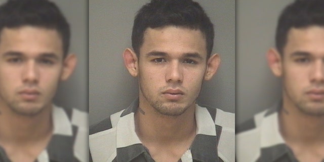 MS-13 gang member Jose Luis Escobar-Umana, 23, pleaded guilty Thursday to murder and other crimes, reports said.