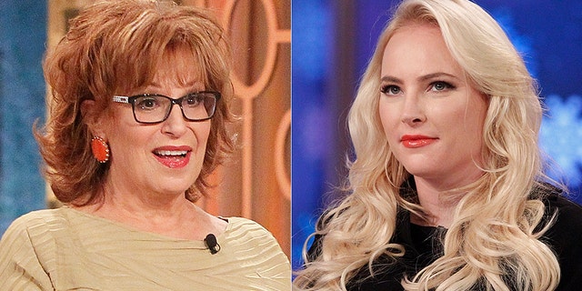 "The View" hosts Meghan McCain and Joy Behar got so entangled in an argument on Wednesday that co-host Whoopi Goldberg had to step in to break up the fight.