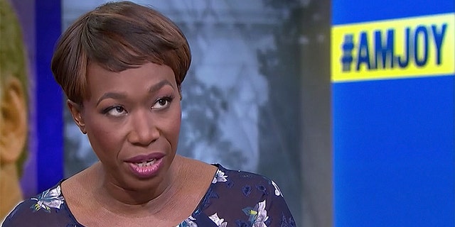 Joy Reid admitted it is unlikely homophobic remarks were planted on her old blog by a hacker.