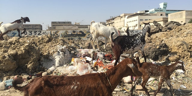 Inside Karachi, Pakistan's largest and once most violent city.