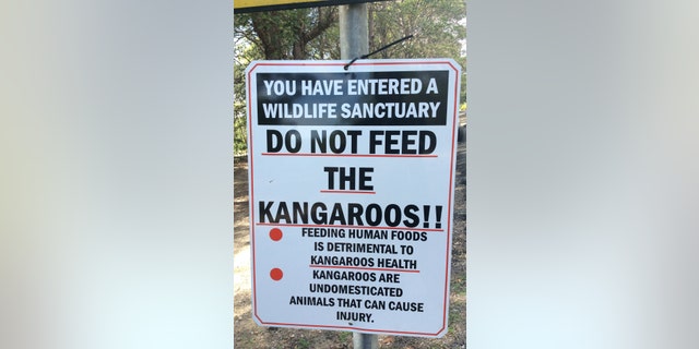 One officials hopes the state will place more warning signs advising visitors not to feed the wildlife.