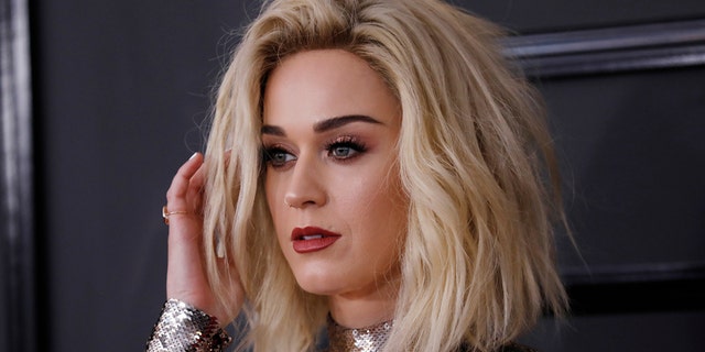 Singer Katy Perry arrives at the 59th Annual Grammy Awards in Los Angeles, California, U.S. , February 12, 2017. REUTERS/Mario Anzuoni - RTSYCE7