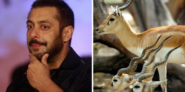 Salman Khan was sentenced to five years in prison for poaching rare antelope 20 years ago.