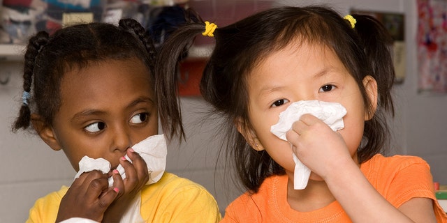 Chinese little girl wipes her nose with tissue as friend watches (shallow dof)