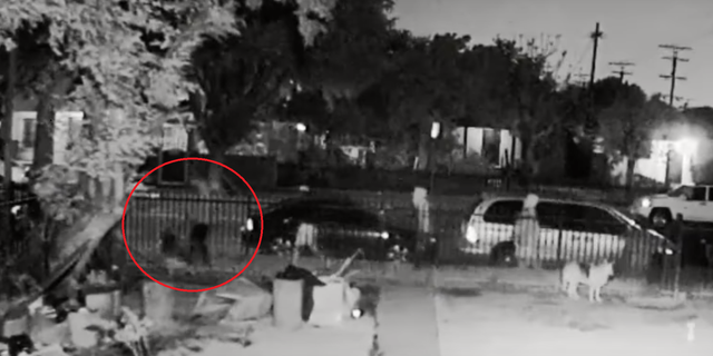 Four people are wanted after a gunman was captured on video shooting and killing a dog.