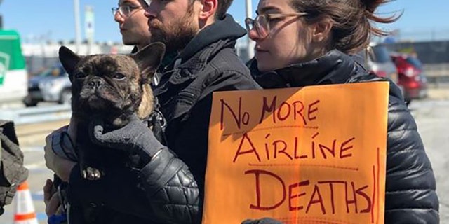 Rally goers support Alcantara as she introduces a bill to protect passenger pets on flights.