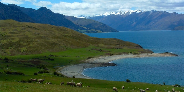 Lauer's ranch was located in an area known as Lake Hawea, in Otago, New Zealand.