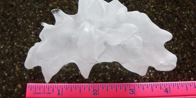 Record-setting hailstone from the Hawaii 'supercell' thunderstorm that hit the Hawaiian island of Oahu on March 9, 2012.