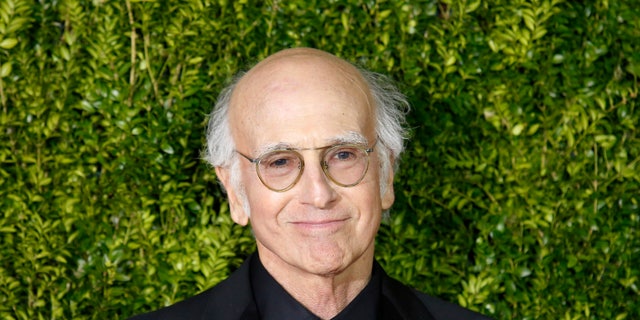 Actor and screenwriter Larry David arrives for the American Theatre Wing's 69th Annual Tony Awards at the Radio City Music Hall in Manhattan, New York June 7, 2015.  REUTERS/Eduardo Munoz - RTX1FK7A