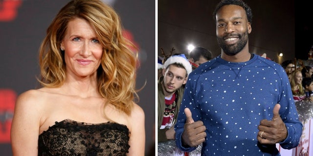 Laura Dern and Baron Davis were spotted together having a romantic lunch last week in Beverly Hills.