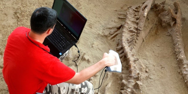 Denis Baev takes a 3-dimensional scan of the crocodile, whose long snout likely helped it catch fish during its lifetime 1.8 million years ago.