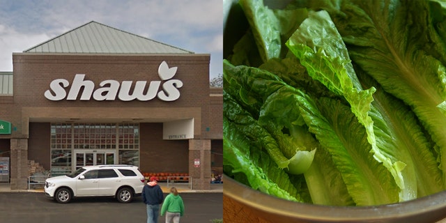 A Maine woman claims she found a dead lizard in her salad made with romaine lettuce she bought at a Shaw's supermarket.
